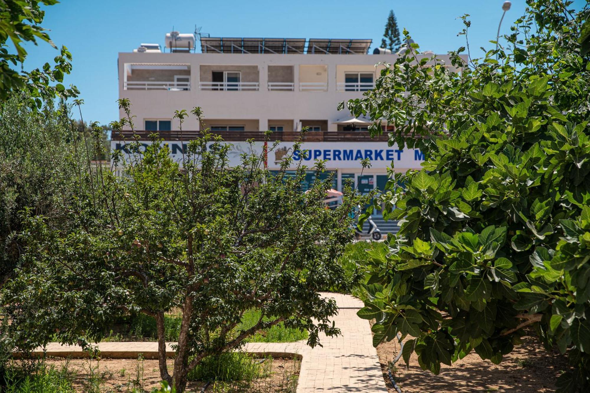 Konnos Villa Ekaterina Протарас Екстериор снимка